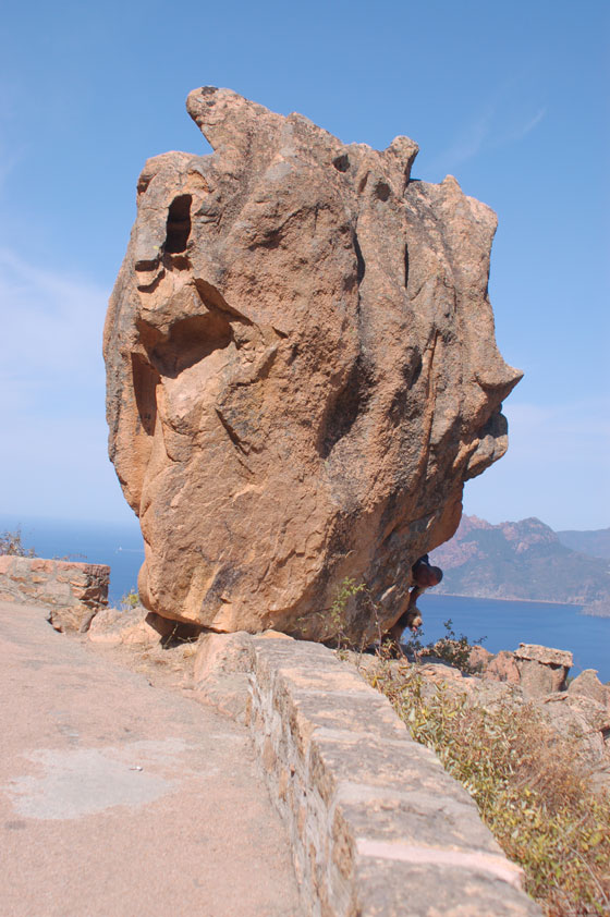 PIANA - Questa Calanche sembra una scultura contemporanea, proprio sul filo esterno di una curva sulla D81