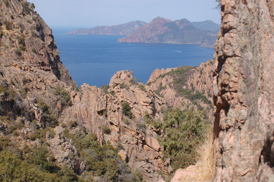 LES CALANQUES - Dalla D81 straordinarie vedute sul Golfo di Porto 