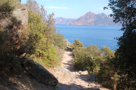 GOLFO DI PORTO - Il sentiero che conduce a piedi alla spiaggia della Ficajola
