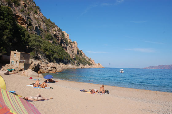GOLFO DI PORTO - Splendida giornata a Plage Ficajola