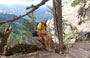 COL DE BAVELLA. Francesco e Mosè in relax poco prima di arrivare al Trou de la Bombe