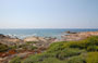 CORSICA DEL SUD. Verso Plage d'Argento tra la caratteristica vegetazione a macchia mediterranea