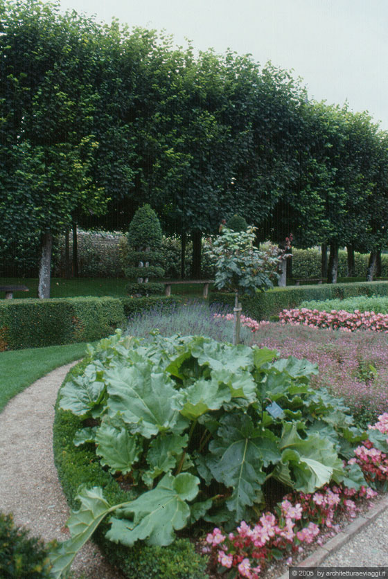 VALLE DELLA LOIRA - TURENNA - Chateau de Villandry - Particolare del Jardin des Simples 