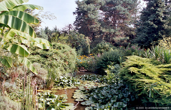 VALLE DELLA LOIRA - TURENNA - Foresta di Chinon - il bel giardino della casa di Andrè a Ile-Bouchard