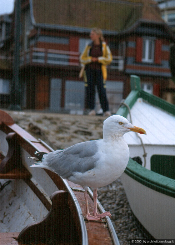 NORMANDIA - Etretat - un gabbiano, una barca, la spiaggia dai bianchi ciottoli, io e il paese sullo sfondo.