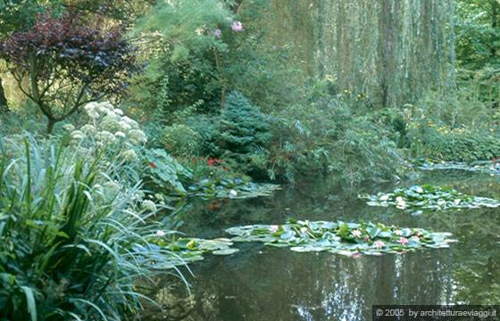 NORMANDIA - GIVERNY - Casa Museo di Claude Monet: particolare della vegetazione acquatica