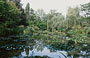 NORMANDIA - GIVERNY. Casa Museo di Claude Monet: vista d'insieme dello stagno