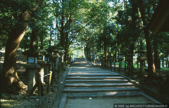 NARA - Verso il santuario Kasuga Taisha 