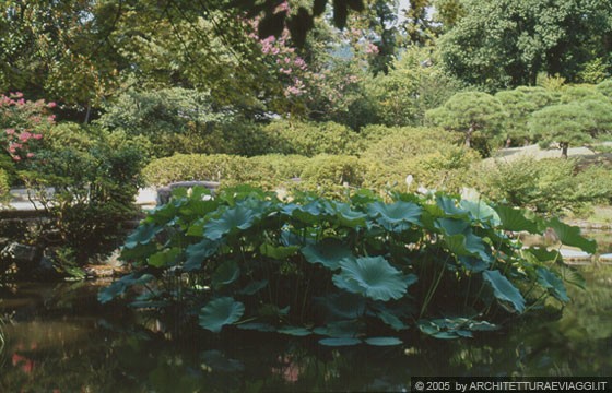 NARA - ISUI-EN - piante acquatiche