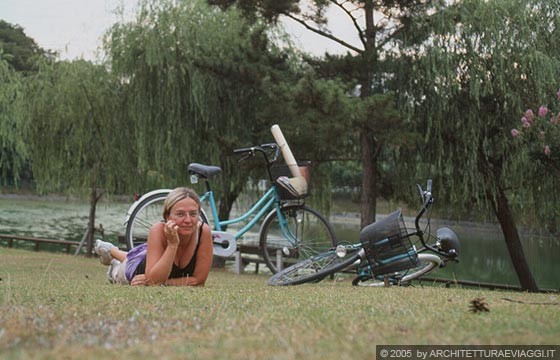 NARA - Nara-koen: relax su un bel prato nei pressi di un'altro laghetto