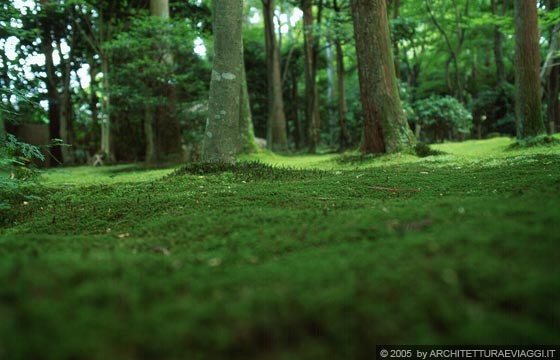 KYOTO NORD-OVEST - RYOANJI TEMPLE - il bel muschio verde