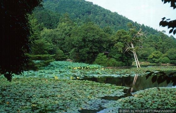 KYOTO NORD-OVEST - RYOANJI TEMPLE - funa asobi: uno splendido scenario fatto da ciliegi in fiore, fiori lilla, piante acquatiche