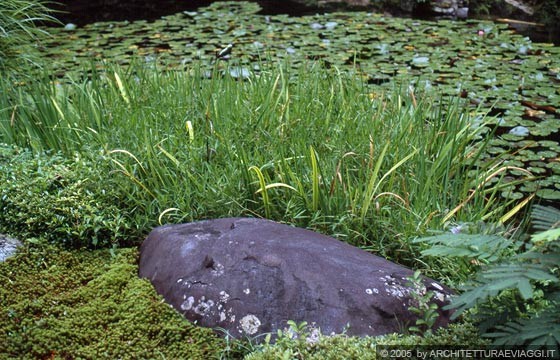 KYOTO EST - NANZEN-IN - giardino di passaggio con stagno: particolare di una composizione di pietre, piante acquatiche, muschi