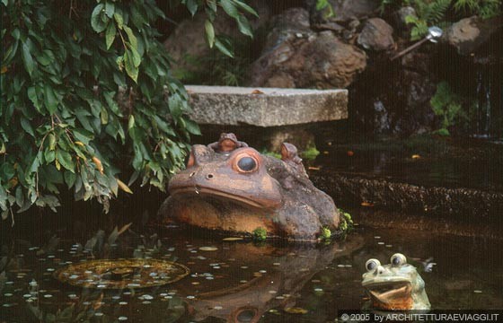 KYOTO - ARASHIYAMA   - TENRYU-JI TEMPLE - ranocchie in un piccolo stagno: forse simboli di buon auspicio?