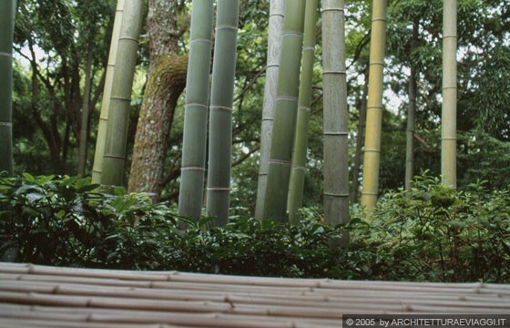 KYOTO - ARASHIYAMA - OKOCHI SANCHO - particolare della foresta di bambù vista dalla sala da tè