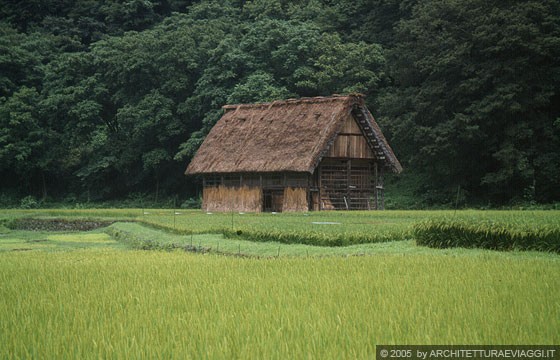 REGIONE DELLA VALLE DI SHOKAWA - Ogimachi - Shiroyama Tendobai: ci incamminiamo verso il punto panoramico 