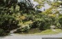 NARA. ISUI-EN: ponticelli e percorsi in pietra lungo il percorso secondo la tradizione dell'arte dei giardini giapponesi