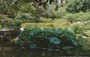 NARA. ISUI-EN - piante acquatiche