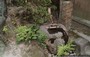 NARA  . ISUI-EN - una graziosa fontana con bacino in pietra e cannella di bambù