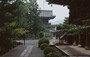 KYOTO - ARASHIYAMA-SAGANO. Forse si tratta del tempio Seiryoji 