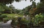 KYOTO NORD-OVEST . TAIZO-IN-TEMPLE - vista d'insieme del giardino moderno: si ha l'impressione di osservare una grande cascata proveniente da una verde foresta di montagna