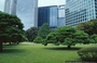 TOKYO GINZA. I grattacieli di Shiodome sullo sfondo dei Giardini di Palazzo Hama (Hamarikyu-teien Gardens)