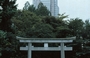 TOKYO. Shinjuku Chuo koen: i due volti di Tokyo, il torii e il grattacielo moderno rappresentato dalle alte torri digradanti del Shinjuku Park Tower 
