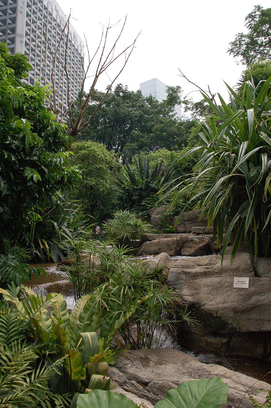CENTRAL - Il verde ristoratore di Cheung Kong Park tra gli alti grattacieli di Central