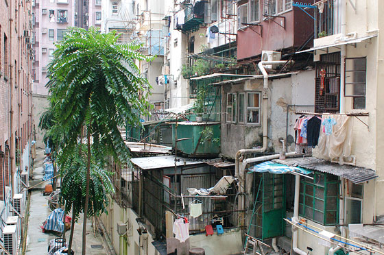 A OVEST DI CENTRAL - Alcune delle case più vecchie di Hong Kong sono addossate alle ripide pendici di Ladder Street