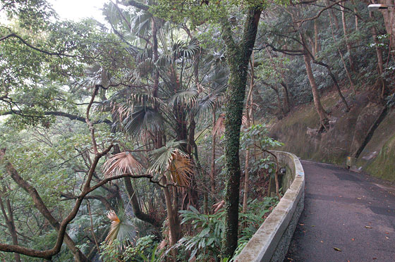 VICTORIA PEAK - Passeggiate al Peak