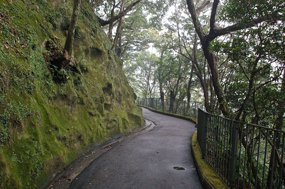 THE PEAK - Una delle escursioni più comuni è la passeggiata di 70 minuti attorno alla sommità della collina, lungo Lugard Road e Haarlech Road