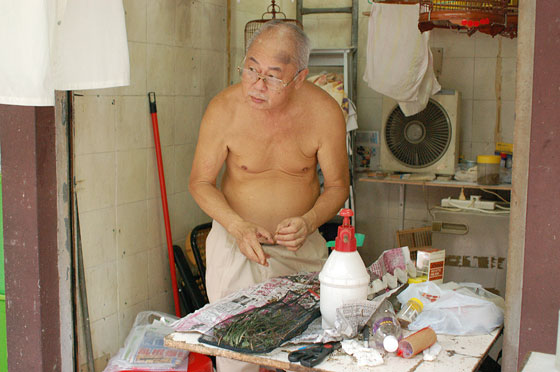 MONG KOK - Un anziano venditore prepara cibo per i volatili canterini