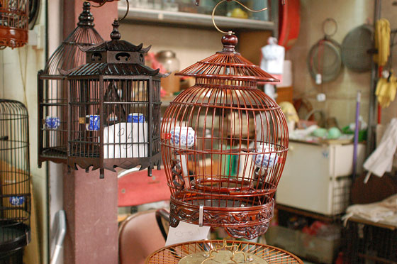 MONG KOK - Giardino degli Uccelli: ancora gabbie lavorate a intaglio in stile orientaleggiante di varie forme e dimensioni