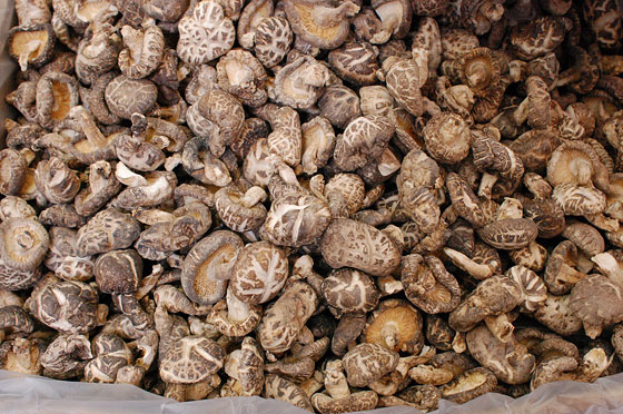 WAN CHAI - Le botteghe di erboristi cinesi vendono ingredienti quali pelle di ramarro, muschio di serpente e polvere di perla