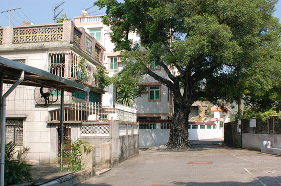 NUOVI TERRITORI - Villaggio di Wing Ping Tsuen, San Tin