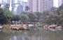 HONG KONG PARK. Dallo specchio d'acqua vista sul Lippo Center
