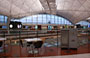 HONG KONG INTERNATIONAL AIRPORT. Zona dei bar e ristoranti