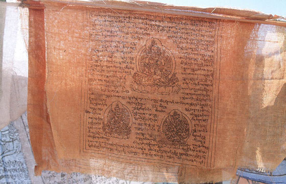 LADAKH - HIMALAYA - Shey Gompa - particolare di una colorata preghiera appesa