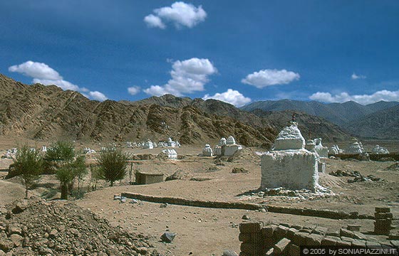 LADAKH - HIMALAYA - Shey - nei campi circostanti lo Shey Gompa sono disseminati numerosi stupa