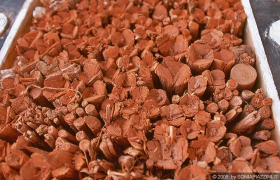 LADAKH - HIMALAYA - Hemis Gompa - particolare del pacchetto di copertura 