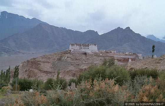 STAKNA GOMPA - Il bellissimo paesaggio tra il verde della valle, il gompa e le alture del Ladakh sullo sfondo