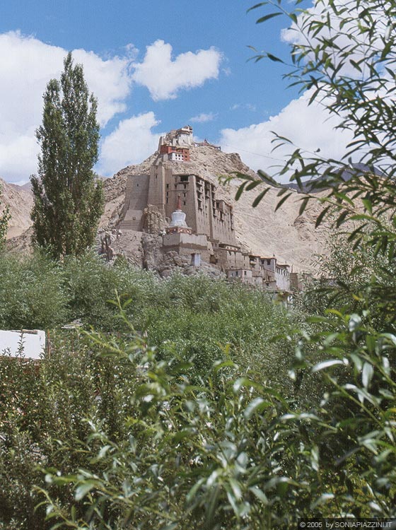 LEH  - La bellissima vista sul Leh Palace godibile dalla nostra camera alla Bimla Guesthouse 