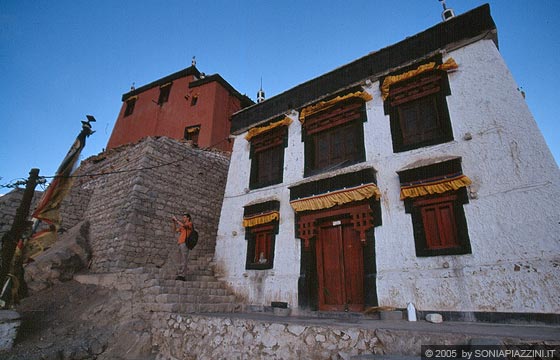 LEH  - Namgyal Tsemo Gompa 