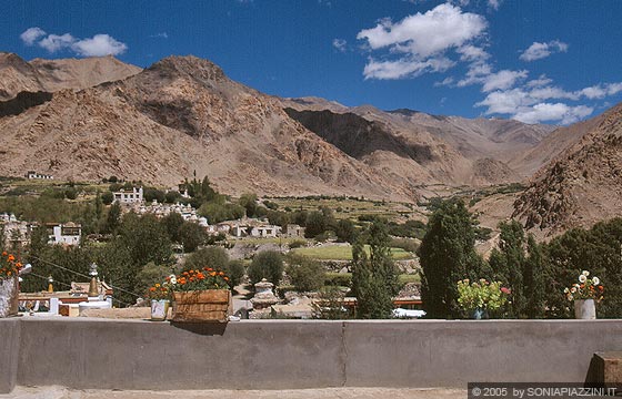LADAKH - Dal Likir Gompa il verde fondovalle con il villaggio di Likir contrasta con l'aridità delle alture del Ladakh 