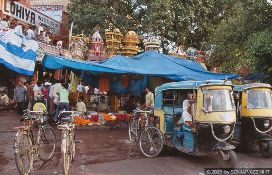 RAJASTHAN ORIENTALE - Jaipur - la sgangherata e vivace bancarella dei fiori nei pressi del parcheggio degli autorisciò