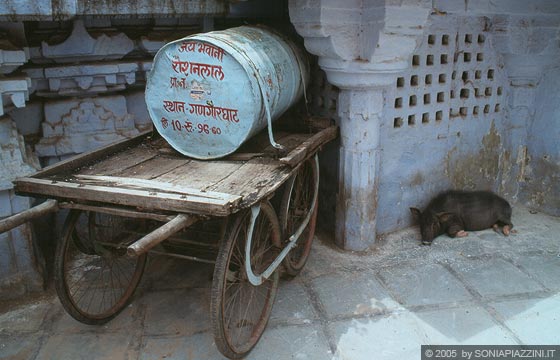 RAJASTHAN MERIDIONALE - Udaipur - vita da 