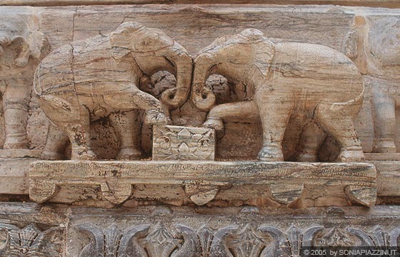 UDAIPUR - Jagdish Temple - altorilievi di due elefanti