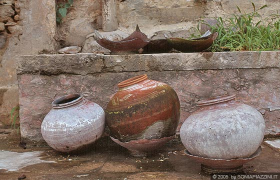 RAJASTHAN MERIDIONALE - City Palace di Udaipur - attratta da questa 