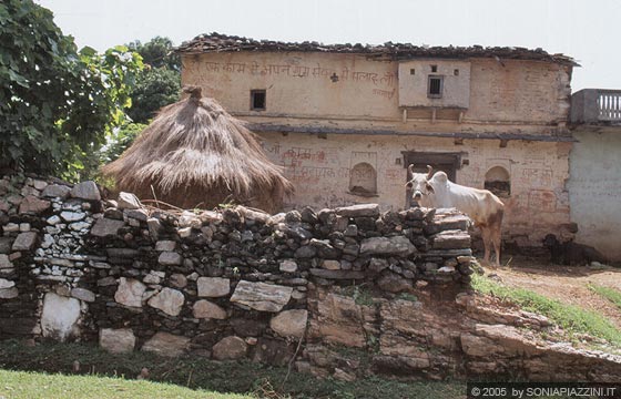 TRA UDAIPUR E KUMBHALGARTH - Una tradizionale abitazione circondata da muri in pietra con bestiame nelle campagne del Rajasthan meridionale