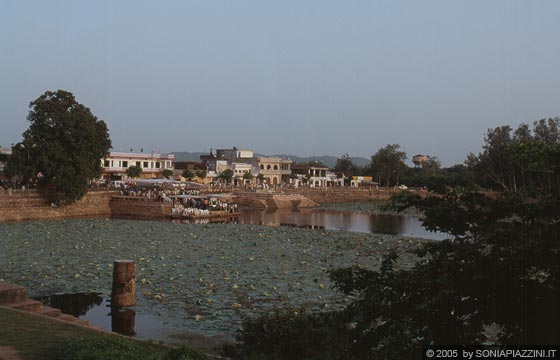 KHAJURAHO - Dalla piattaforma del Matangesvara Temple vista sullo Shiv Sagar costellato di ninfee e su cui si affacciano alcuni caratteristici ghat